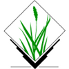 GRASS logo